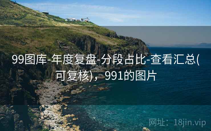 99图库-年度复盘-分段占比-查看汇总(可复核),991的图片 99图库-年度复盘-分段占比-查看汇总(可复核),991的图片